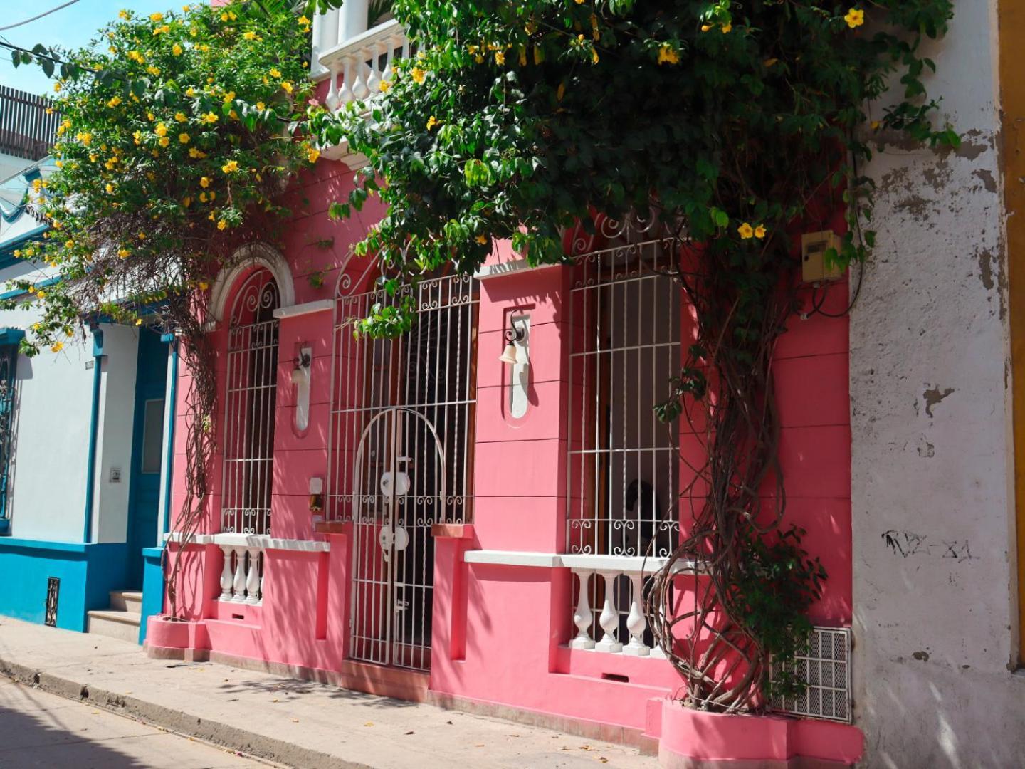 Casa Rosa - Alma Hotels — Photos 1